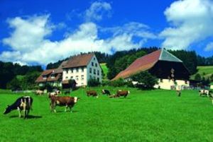 Ruhbauernhof Ruhbauernhof
